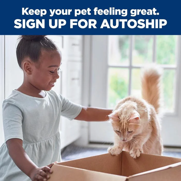 Premium Adult Cat Food: Chicken Recipe, 16 lb. Bag - Image 12