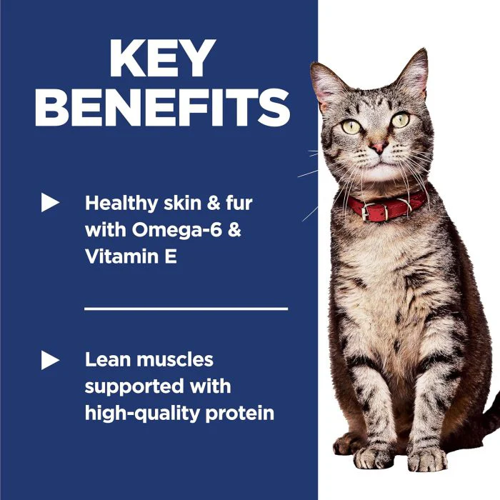 Premium Adult Cat Food: Chicken Recipe, 16 lb. Bag - Image 4