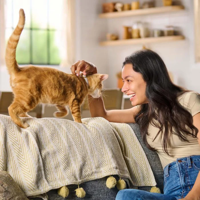 Meow Mix : Original Choice Dry Cat Food, 22 lb Bag - Image 4