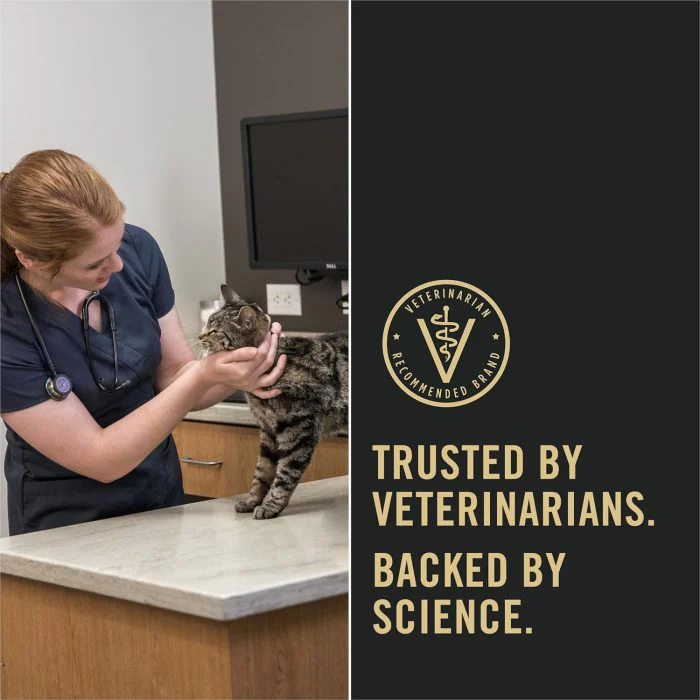 High Protein Cat Food with Probiotics – Chicken & Rice - Image 10