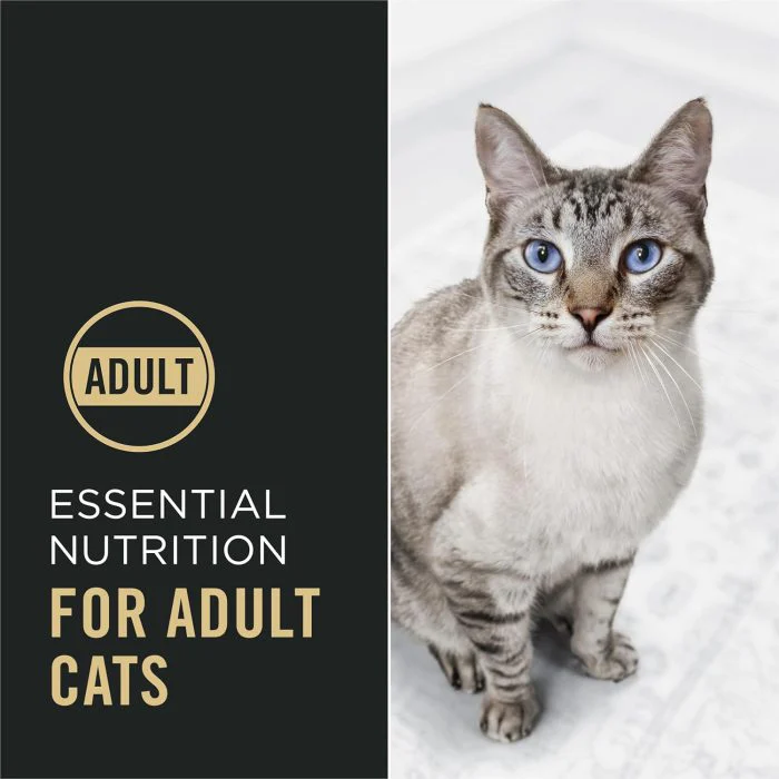 High Protein Cat Food with Probiotics – Chicken & Rice - Image 3