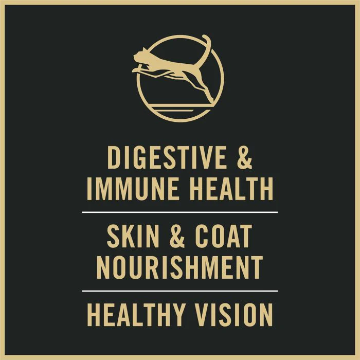 High Protein Cat Food with Probiotics – Chicken & Rice - Image 4