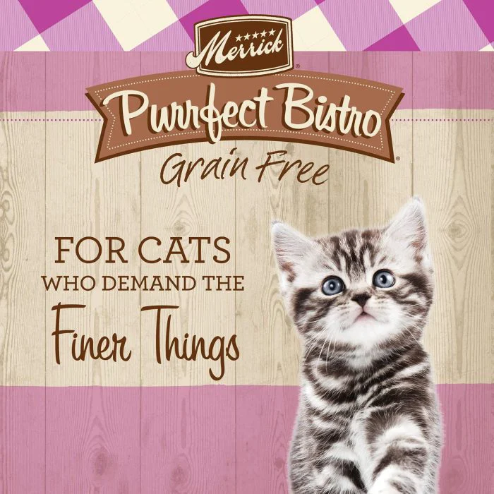 Grain Free Kitten Food – Natural Dry Cat Food - Image 2