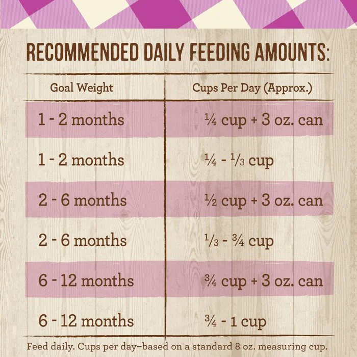 Grain Free Kitten Food – Natural Dry Cat Food - Image 5