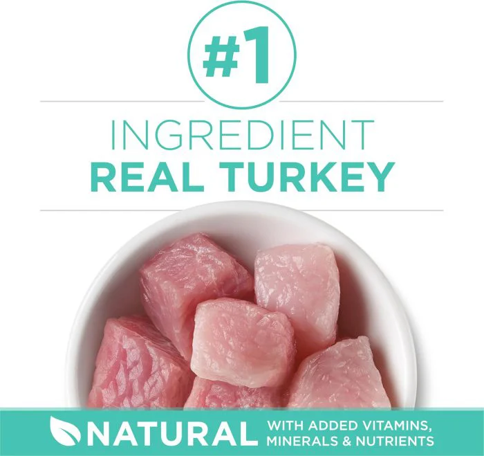 Sensitive Stomach & Skin Dry Cat Food – 22 lb - Image 2