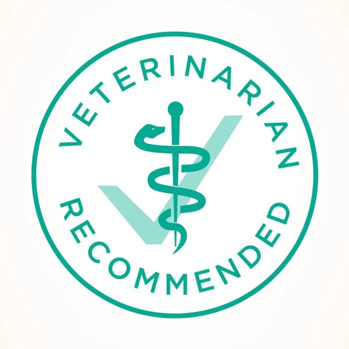 Sensitive Stomach & Skin Dry Cat Food – 22 lb - Image 8