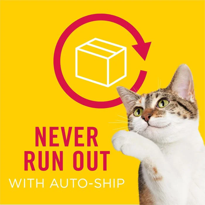 Seafood Sensations Dry Cat Food with Salmon & Tuna - Image 12