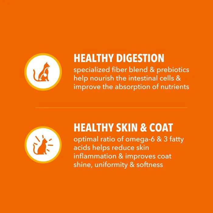 Healthy Adult Cat Food with Chicken – 7 lb Bag - Image 5