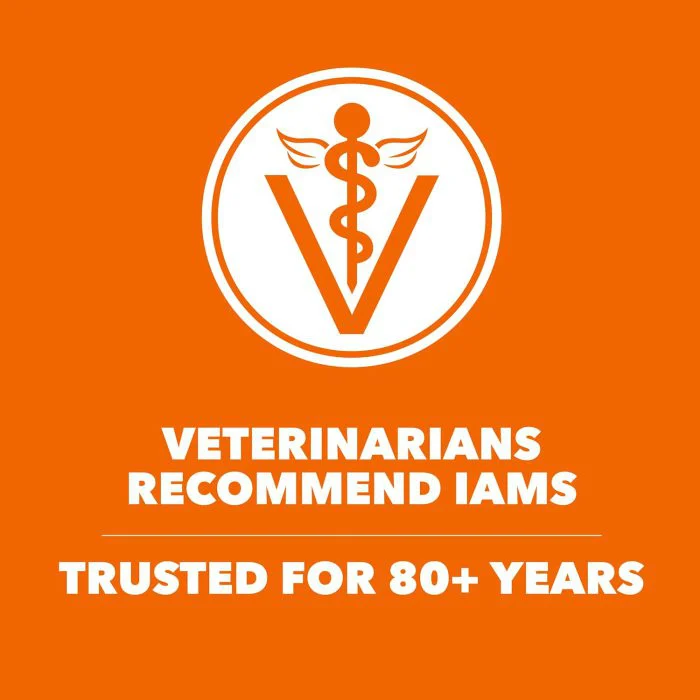 Healthy Adult Cat Food with Chicken – 7 lb Bag - Image 6