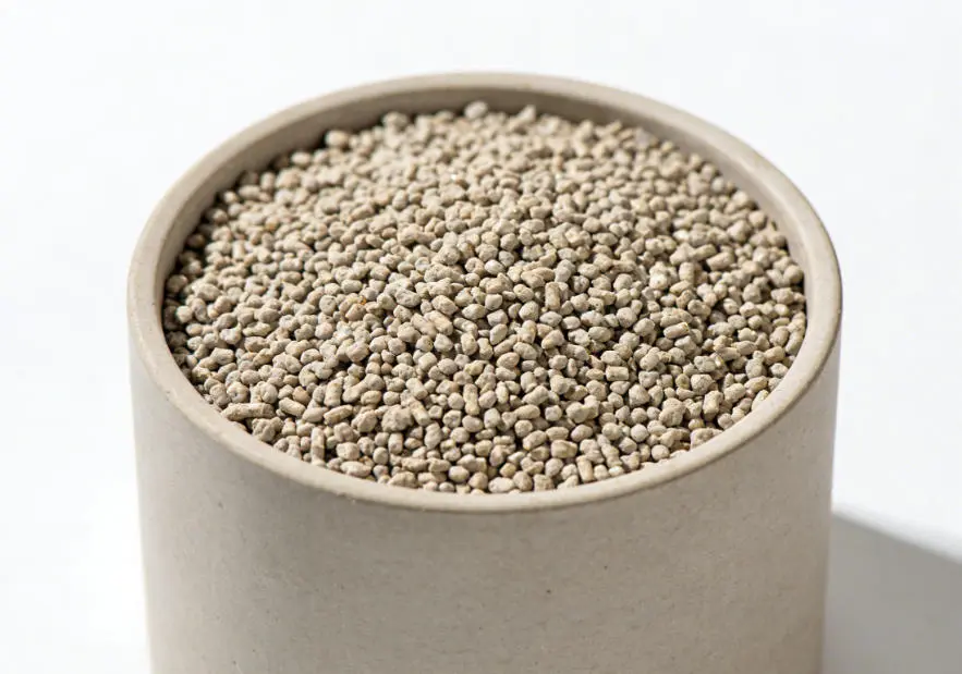 Types of Cat Litter Explained