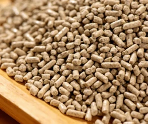 How to Choose the Right Cat Litter: Complete 2026 Guide for Happy Cats