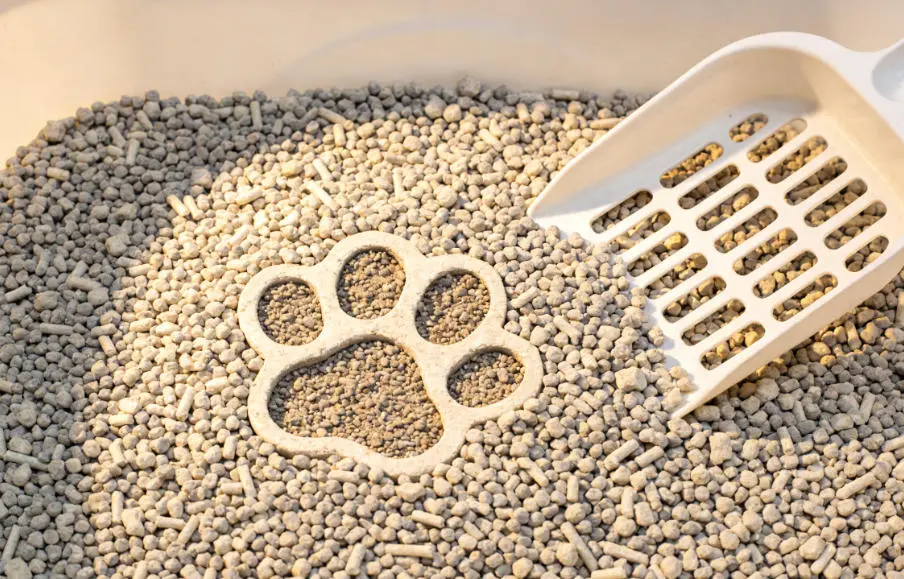 How often should I completely change the cat litter