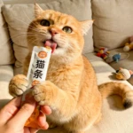 What treats do cats love the most? A Science-Based Guide to Feline Taste