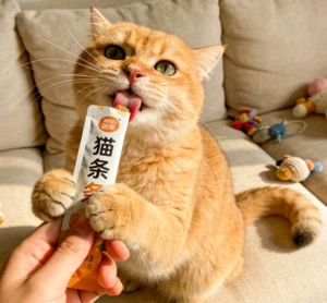 What treats do cats love the most? A Science-Based Guide to Feline Taste