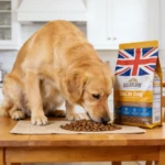 What Is the Healthiest Dog Food in the UK? A 2026 Evidence-Based Guide